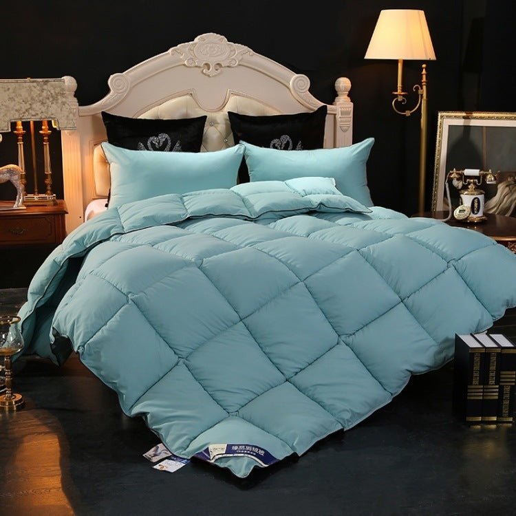 High - end down comforter - Shandi Shop Shandi Shop