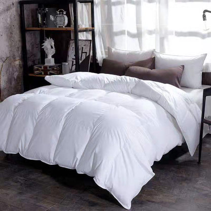 Down Duvet, Winter Duvet, Goose Down Duvet Core, Air Conditioner - Shandi Shop Shandi Shop