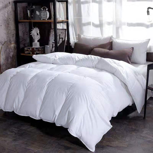 Down Duvet, Winter Duvet, Goose Down Duvet Core, Air Conditioner - Shandi Shop Shandi Shop