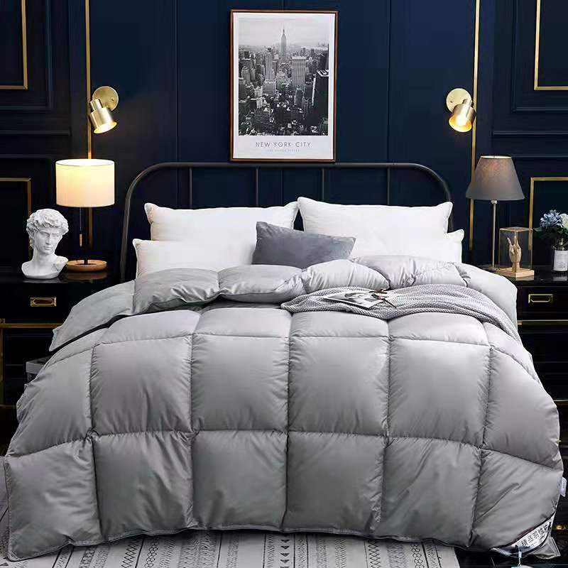 Down Duvet, Winter Duvet, Goose Down Duvet Core, Air Conditioner - Shandi Shop Shandi Shop