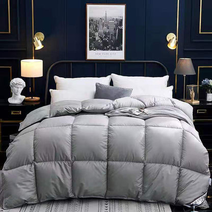 Down Duvet, Winter Duvet, Goose Down Duvet Core, Air Conditioner - Shandi Shop Shandi Shop